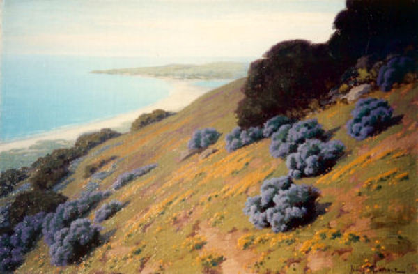 John Marshall Gamble - "Bush Lupine and Poppies" - Marin County - Oil on canvas/board - 16" x 24"