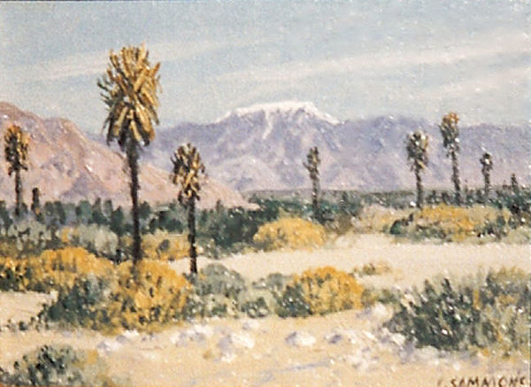 Carl Sammons - "Joshua Trees" - Oil on canvasboard - 6" x 8"