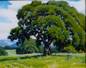 Arthur Hill Gilbert, A.N.A. - "Mesa Oaks" - Oil on canvas - 16"x20" - Signed lower right
<br>Titled and signed on reverse