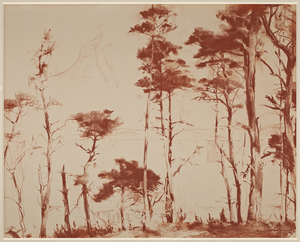 Armin C. Hansen, N.A. - "Sentinels" - Monterey- - Conte Crayon on paper - 19" x 24" - Signed and dated lower right
<br>
<br>Exhibited:  Monterey Museum of Art;
<br>
<br>Exhibited: 
<br>Armin Hansen: The Artful Voyage
<br>
<br>Pasadena Museum of California Art/Jan.-May, 2015
<br>Crocker Art Museum/June – October, 2015
<br>Monterey Museum of Art/Oct. 2015 – Mar. 2016.
<br>
<br>Illustrated:  Armin Hansen: The Artful Voyage  by Scott A. Shields, PhD., page 231. Published on the occasion of the exhibition.
<br>
<br>"Before Hansen, when artists painted Monterey scenes with workers, they most often depicted them in connection with the historic Carmel Mission or quietly performing agricultural chores in peaceful harmony with the land, evincing the lingering influence of the French Barbizon style that Tavernier introduced in the mid-1870s. Such paintings were popular because they were soothing and restful, offering an oasis of tranquility and escape. These evolved into pure landscapes focusing on the beautiful coast, with attention accorded to the wind-sculpted Monterey cypress trees clinging to rocky shores. Hansen, who saw himself as part of a new generation, painted pure landscapes infrequently…when he did depict the cypress or pine, he tended to organize the trees into abstractly patterned groups rather than depict them as single, arboreal curiosities…"   
<br>
<br>Armin Hansen: The Artful Voyage, Scott A. Shields, PhD.