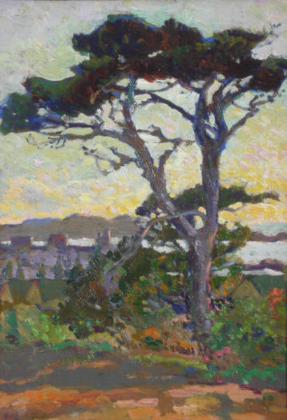 Charlotte E. Morgan - " Pine" - Carmel - Oil on board - 14" x 10"