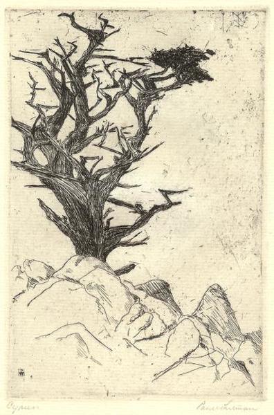Paul Whitman - "Cypress" - Etching - 5 3/4" x 3 3/4" - Plate: Monogram lower left<br>Titled lower left in pencil<br>Signed lower right in pencil
