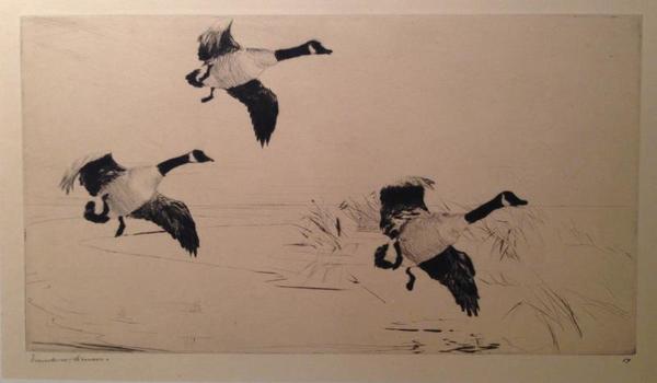 Frank W. Benson - "Three Geese" - Drypoint - 8 1/8" x 14 3/4"