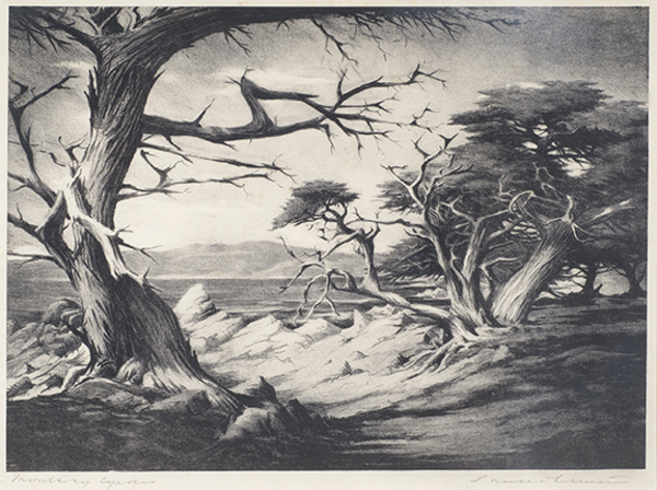 Paul Whitman - "Monterey Cypress" - Stone lithograph - 11 1/2" x 16"