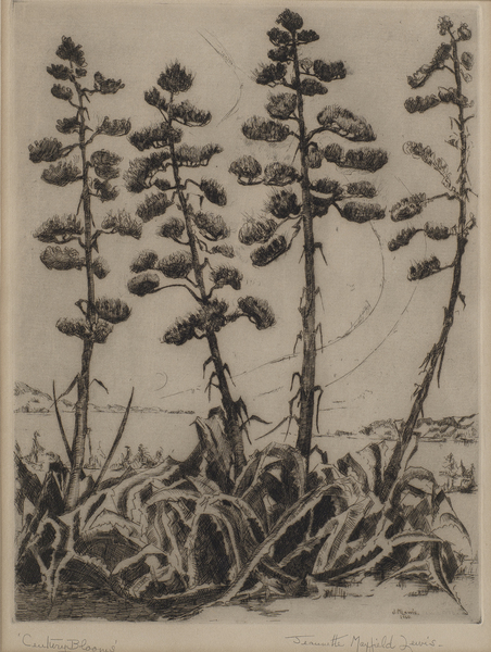 Jeannette Maxfield Lewis - "Century Blooms" - Etching - 11 7/8" x 9"