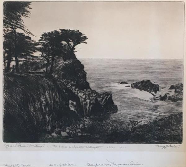 Beautiful coastal view of land and water. The strength of the mighty group of cypress trees stand tall on a cliff  - never to leave their place of honor.