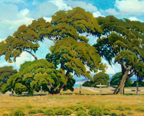 Arthur Hill Gilbert, A.N.A. - "Oaks of the Mesa, Monterey" - Oil on canvas - 25"x30"