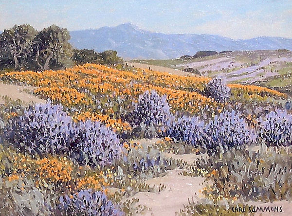 Carl Sammons - "Poppies and Bush Lupine" -Carmel, California- - Oil on canvasboard - 12" x 16"