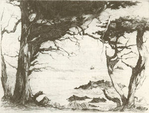 Armin C. Hansen, N.A. - "Monterey Cypress" - Etching - 6 1/8" x 8 1/4"