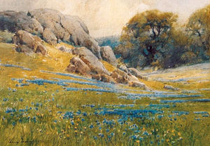 Percy Gray - "Poppies & Lupine, Monterey" - Watercolor - 9 3/4" x 14"