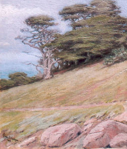 Charles Bradford Hudson - "Monterey Cypress" -Pebble Beach- - Oil on canvas - 12 1/2" x 10 1/2"