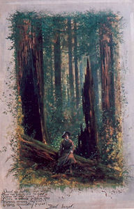 Jules Tavernier - "Among the Giant Redwoods" - Oil on canvas - 24" x 16"
