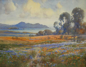 Percy Gray - "Poppies & Lupine" -Point Lobos from the Mission Fields- - Watercolor - 16" x 20"