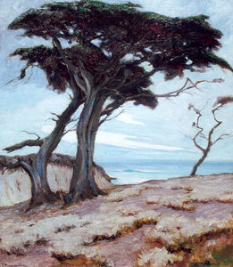 Jean Mannheim - "Monterey Cypress" - Oil on canvas - 39" x 34"