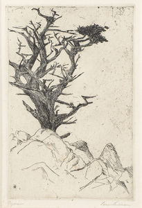 Paul Whitman - "Cypress" - Etching - 5 3/4" x 3 3/4"