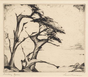 Paul Whitman - "Monterey Cypress" - Etching - 4.75" x 5.75"