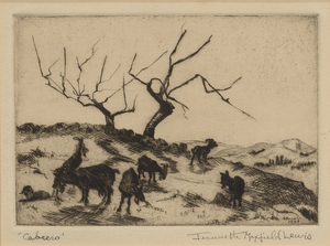 This drypoint was executed from drawings inspired by her trip to Mexico in 1936. She has captured grazing time on a cold and bleak day for 6 or 7 goats trying to find food on a hillside. At the top of the hill are two barren trees rooted in the ground - w