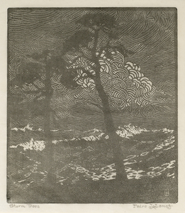 For a wood engraving the artist sees his composition as a design with black lines on a white background or white lines on a black background. In this wood engraving two tall trees silouetted against the violent sea - the contours range from the intricate 