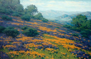 John Marshall Gamble - "Poppies & Lupine" - San Rafael Mountains - Oil on canvas - 20"x30"
