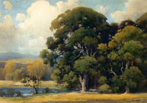 Percy Gray - "Large Oak" - Watercolor - 20" x 28" - Exhibited: Carmel Art Association/1998 "Percy Gray, 1869-1952' retrospective. Illustrated: 'The Legacy of Percy Gray' published by the C.A.A./1999.