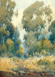 Percy Gray - "Wild Thistles and Eucalyptus" - Watercolor - 14" x 10"