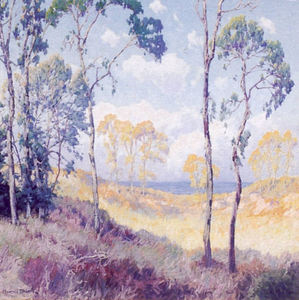 Maurice Braun - "Eucalyptus" - Oil on canvas - 30" x 30"