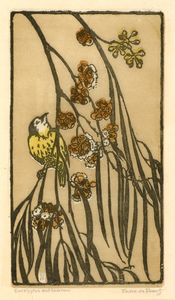 Pedro J. de Lemos - "Eucalyptus and Sparrow" - Color woodblock - 8 3/4" x 5"